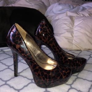 Steve Madden leopard heels